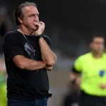 Galo, Cuca
