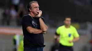 Galo, Cuca