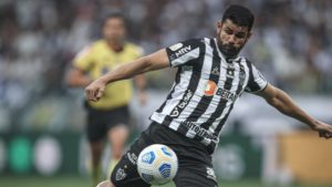 galo