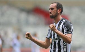 galo