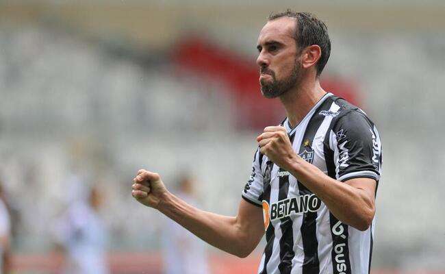 galo