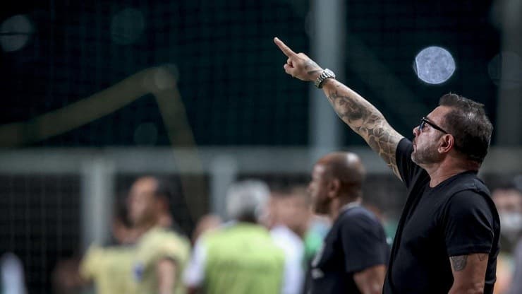 galo