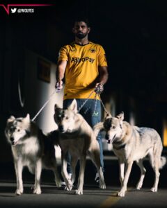 Galo
