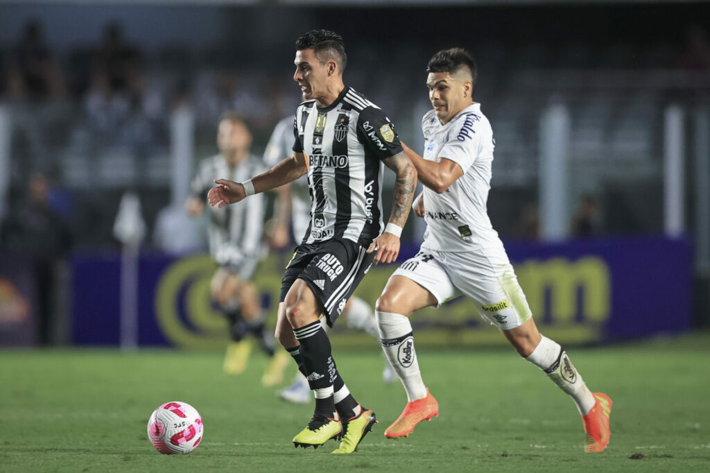 Pavón Galo