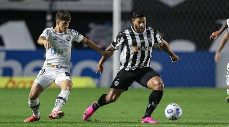 Galo x Santos