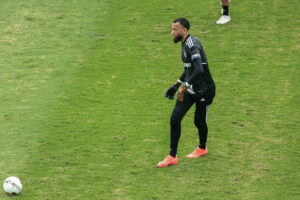 Galo