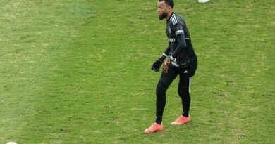 Galo