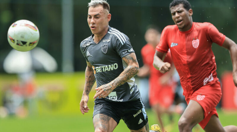 Galo