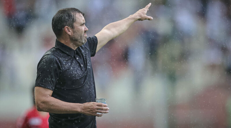 Galo
