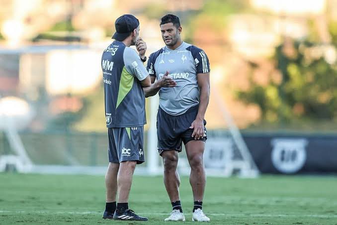 Últimas do Galo