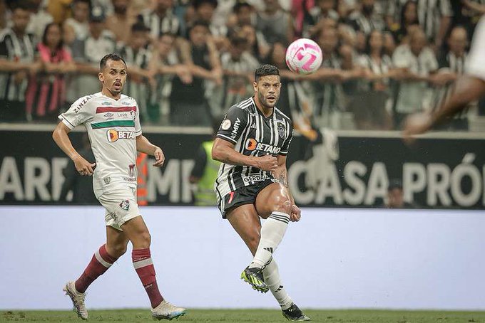 Flu e Galo