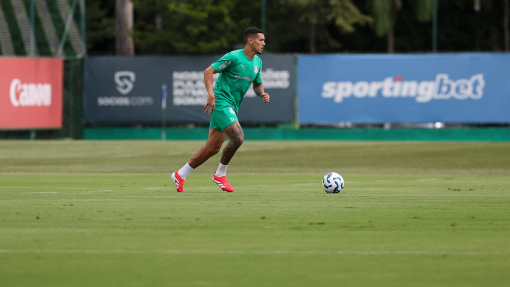Naves. Foto: Cesar Greco/Palmeiras 