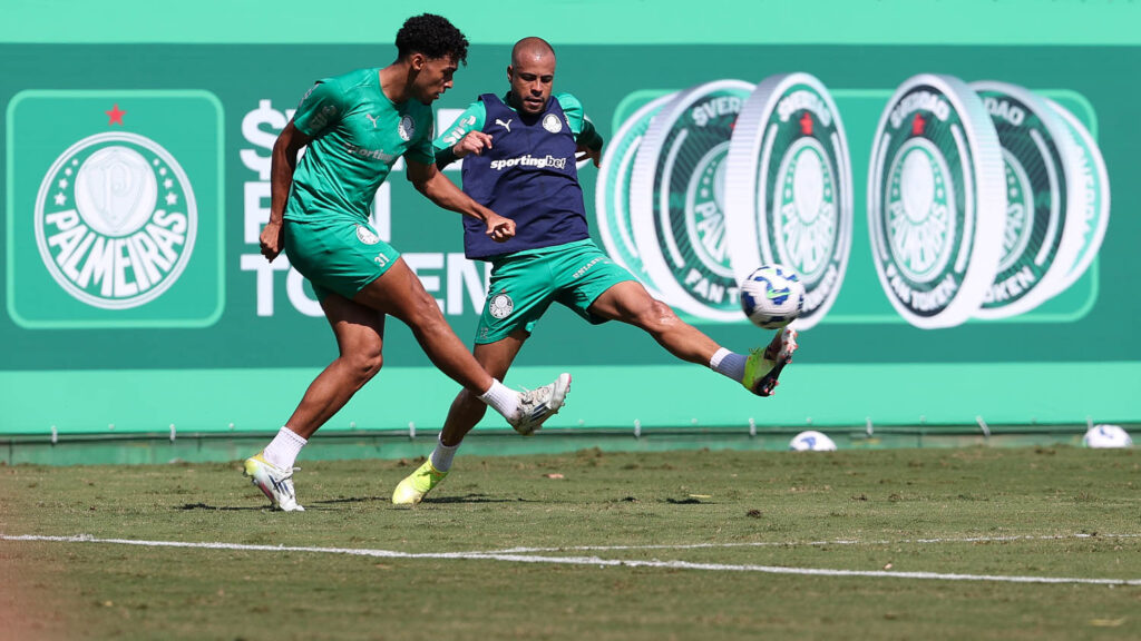 Mayke. Foto: Cesar Greco/Palmeiras
