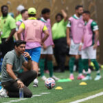 Abel Ferreira