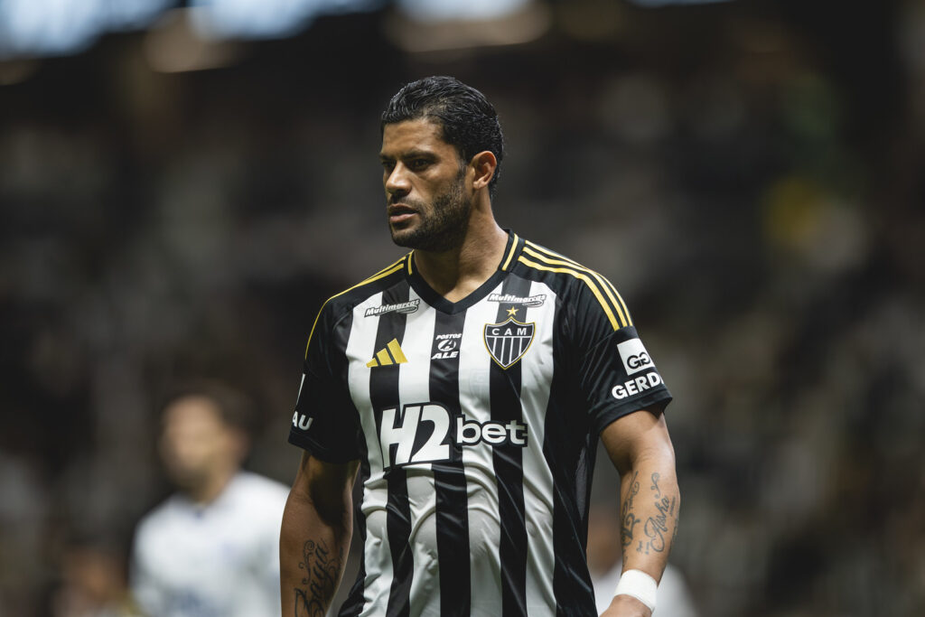 54905027178_b997a9c7fe_h